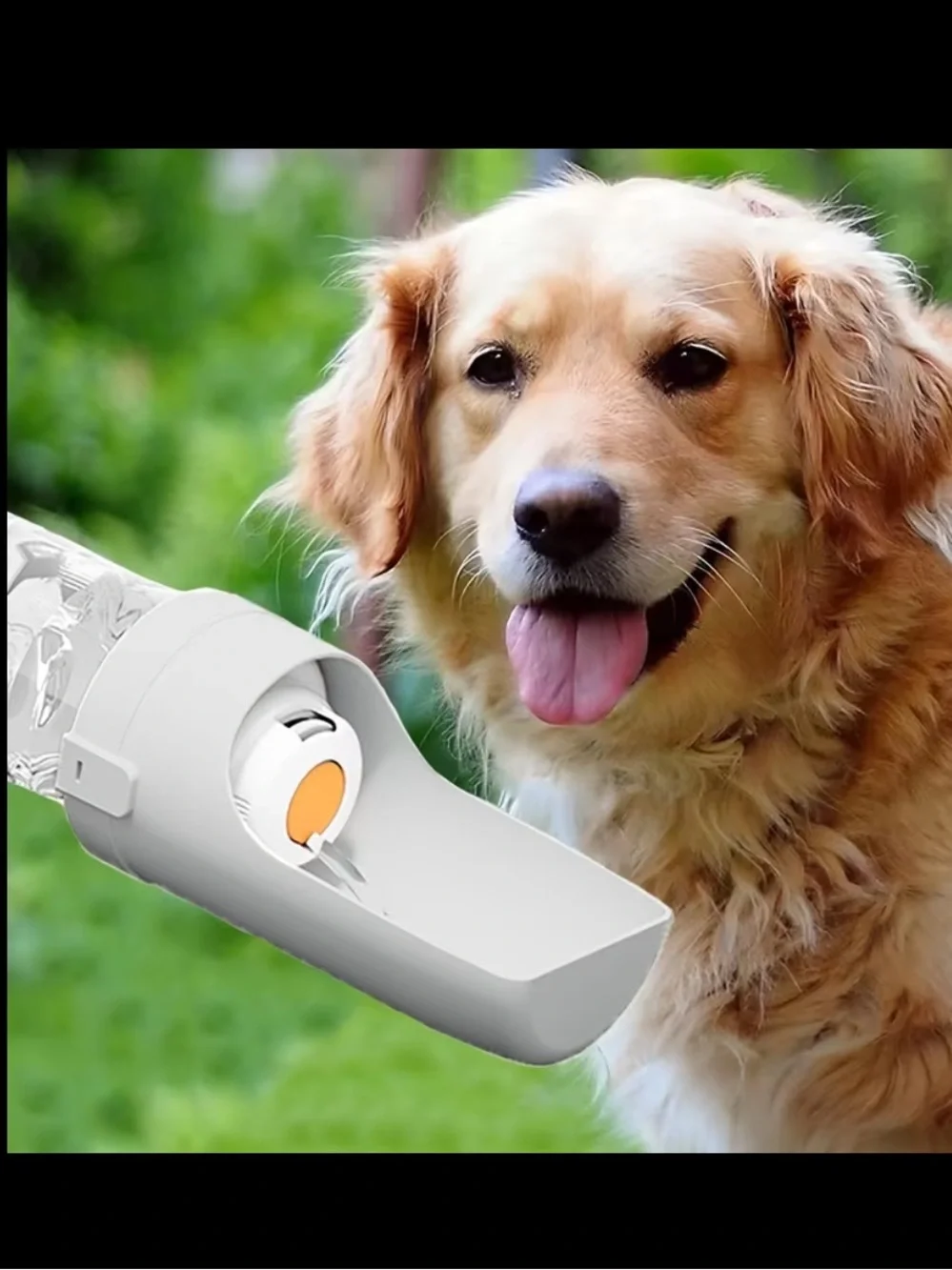 Portable Dog Water Bottle & Food Container- Mint Green